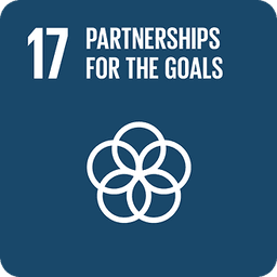 Partnerships for the goals 17.png